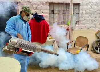 El dengue, enfermedad transmitida por la picadura del mosquito Aedes aegypti, viene ganando terreno a nivel nacional y ya tiene preocupadas a las autoridades peruanas. (Andina)
