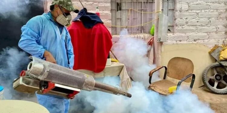 El dengue, enfermedad transmitida por la picadura del mosquito Aedes aegypti, viene ganando terreno a nivel nacional y ya tiene preocupadas a las autoridades peruanas. (Andina)