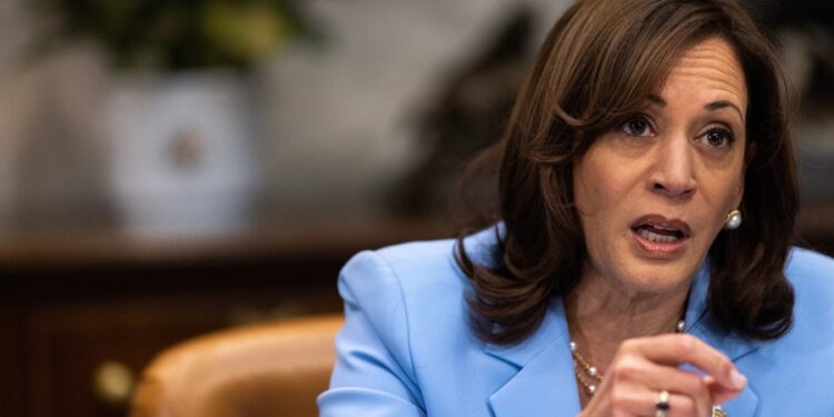 Washington (United States), 12/04/2023.- United States Vice President Kamala Harris makes remarks as she convenes a meeting of the Task Force on Reproductive Health Care Access in the Roosevelt Room of the White House in Washington, DC, USA, on 12 April 2023. (Estados Unidos) EFE/EPA/Julia Nikhinson / POOL