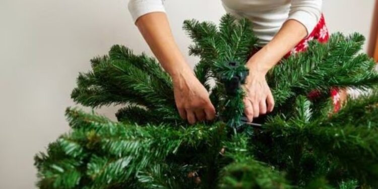 Colocar el árbol de Navidad.