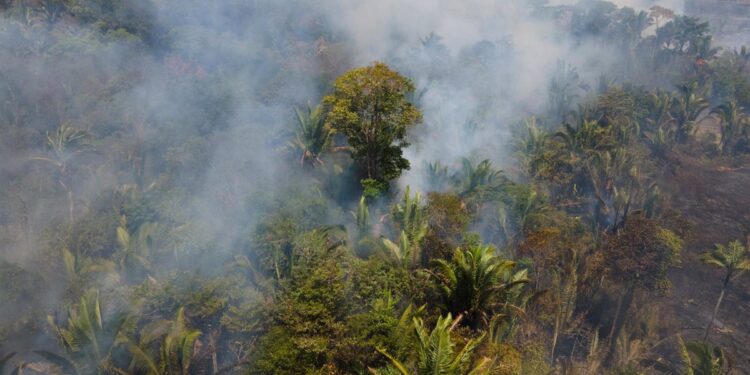 Incendios Colombia. Foto agencias.