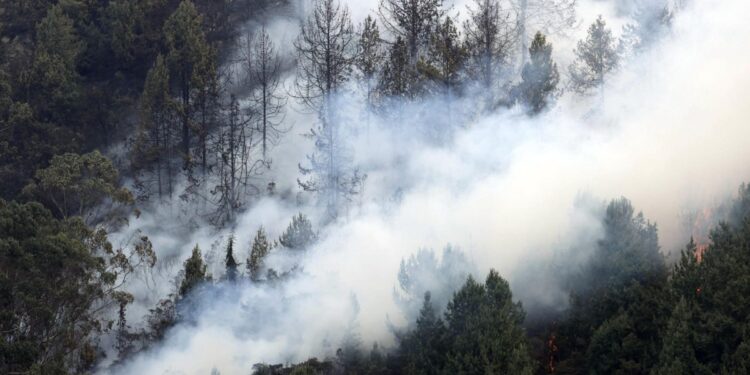 Incendios en Colombia. Foto agencias.