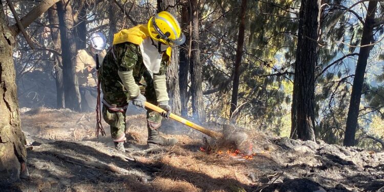 This handout picture released by the Colombian Armed Forces shows a soldier putting out forest fires in Bogota on January 23, 2024. At least four active forest fires hit several regions of Colombia and the capital Bogota this Tuesday, amid a wave of conflagrations due to high temperatures derived from the El Niño phenomenon, authorities reported. (Photo by Handout / Colombian Armed Forces / AFP) / RESTRICTED TO EDITORIAL USE - MANDATORY CREDIT "AFP PHOTO / COLOMBIAN ARMED FORCES" - NO MARKETING NO ADVERTISING CAMPAIGNS - DISTRIBUTED AS A SERVICE TO CLIENTS