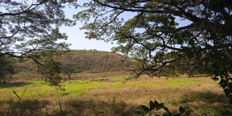 Foto Referencial de una finca. Xiomara López