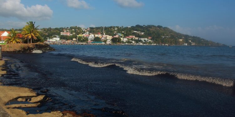 View of the oil spill at Rockly Bay in Tobago island, Trinidad and Tobago, on February 10, 2024. An oil spill caused by a mysterious ship that ran aground in the waters of Trinidad and Tobago on February 7 spread along some 15 kilometers of coastline, just when the country expects to receive thousands of tourists in the middle of the carnival season. (Photo by Clement Williams / AFP)