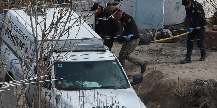 MEX8622. CIUDAD JUÁREZ (MÉXICO), 18/02/2024.- Peritos forenses trasladan un cuerpo localizado en una fosa clandestina el 16 de febrero de 2024, en Ciudad Juárez, estado de Chihuahua (México). Cinco cuerpos se encontraron esta semana en 3 fosas clandestinas en el estado de Chihuahua: dos de ellos se localizaron muy en el poniente de Ciudad Juárez tras denuncias en una manta (lona) colgada en la vía pública y otros tres en una colonia rural a las afueras de la capital del estado. EFE/Luis Torres