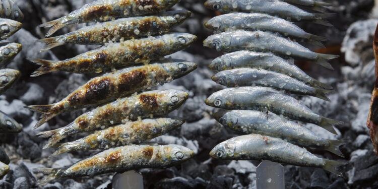 En la imagen de archivo, espeto de sardinas en la Playa del Bajondillo de Torremolinos (Málaga, España). EFE/Álvaro Cabrera