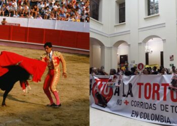 Varias voces celebraron la decisión del Congreso. Foto Getty Images Cámara de Representantes.