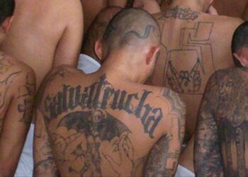 Los pandilleros de la MS-13