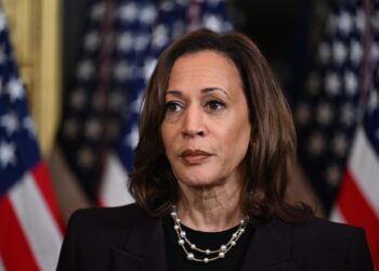 Washington (United States), 25/07/2024.- US Vice President Kamala Harris delivers remarks after meeting with Israel Prime Minister Benjamin Netanyahu in the Vice President's ceremonial office on the White House complex in Washington, DC, 25 July 2024. US President Joe Biden also hosted Israeli Prime Minister Netanyahu the day after Netanyahu delivered an address to a joint meeting of the US Congress. EFE/EPA/KENNY HOLSTON / POOL