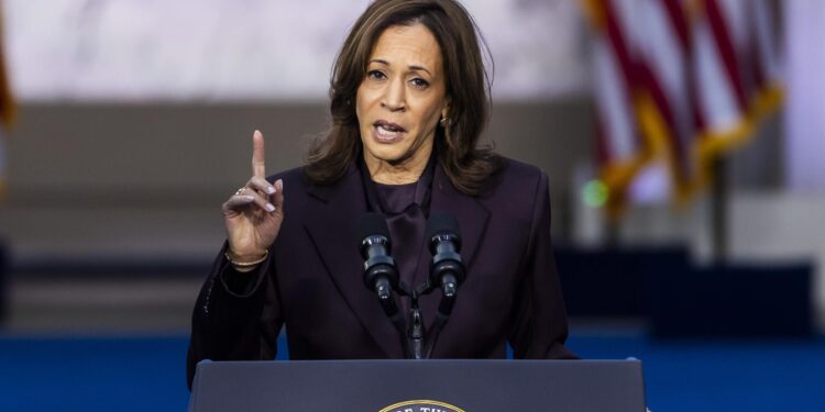 Washington (United States), 06/11/2024.- US Vice President Kamala Harris speaks after conceding the US presidential race to President-elect Donald Trump at Howard University the day after Election Day in Washington, DC, USA, 06 November 2024. Trump performed far better than pollsters had predicted, earning five million more votes than Harris and likely becoming the first Republican in two decades to win the popular vote. EFE/EPA/JIM LO SCALZO