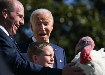 US President Joe Biden pardons Peach, the National Thanksgiving Turkey, alongside Chair of the National Turkey Federation John Zimmerman and his son Grant during an event on the South Lawn of the White House in Washington, DC, on November 25, 2024. - The sparing of the wattle adorned gobbling poultry became tradition in 1989 when US President George HW Bush said, "But let me assure you, and this fine tom turkey, that he will not end up on anyone's dinner table, not this guy -- he's granted a Presidential pardon as of right now and every US President since then has continued the act of mercy. (Photo by Drew ANGERER / AFP)