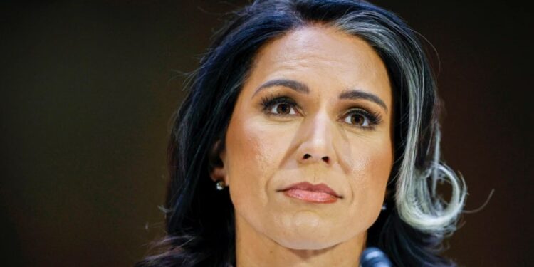 Tulsi Gabbard